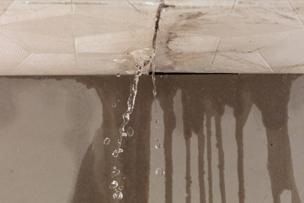 Professional Burst Pipe Cleanup technician working in Happy Valley, OR